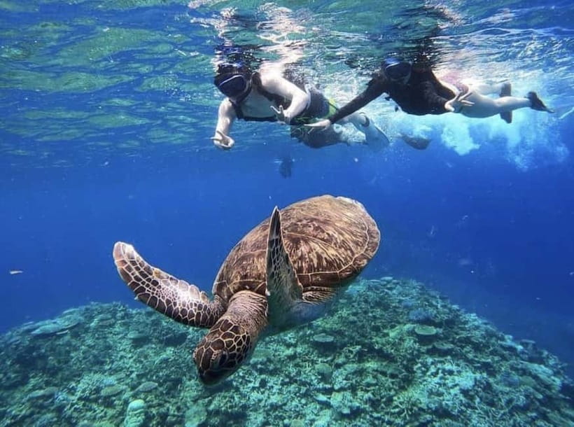 Iriomote: Boat Snorkeling Tour at Barasu Island - Equipment, wetsuits, and comfort after you get out
