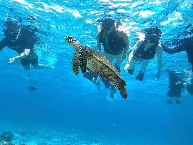 Iriomote: Boat Snorkeling Tour at Barasu Island - Rain plans, timing shifts, and staying in the right group