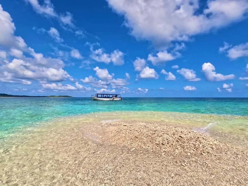 Iriomote: Boat Snorkeling Tour at Barasu Island - Densa Terminal to the water, the simple rhythm that keeps you on track