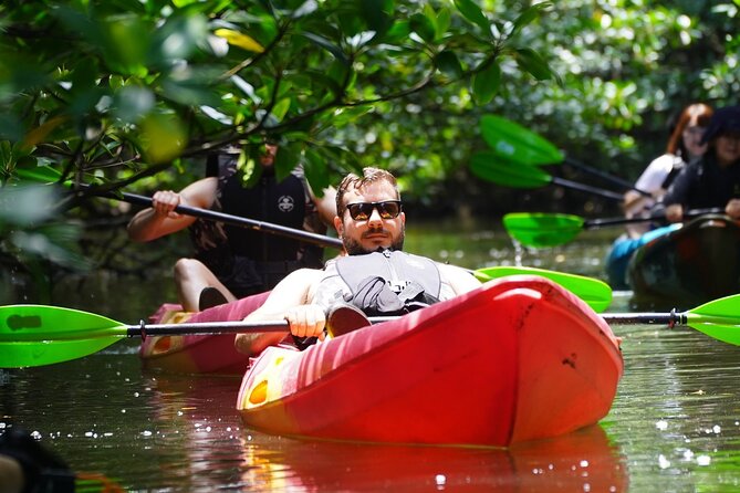 Iriomote Island 1-Day Snorkeling & Mangrove SUP or Canoe - Key things that make this tour worth a spot