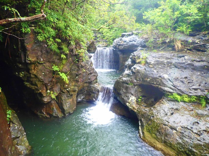 Iriomote Island: Guided 2-Hour Canyoning Tour - Safety and Fitness Limits: Who This Tour Is Actually For