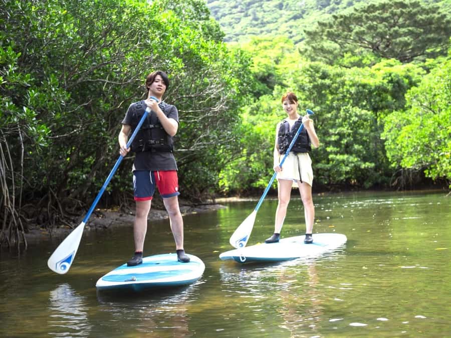 Iriomote island: Mangrove River SUP or Canoe Cruising Tour - Key things to know before you go