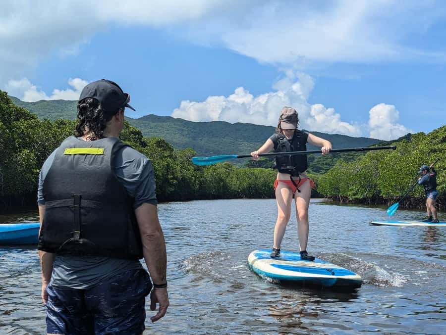 Iriomote island: Mangrove River SUP or Canoe Cruising Tour - Iriomote mangroves, the kind you actually walk through