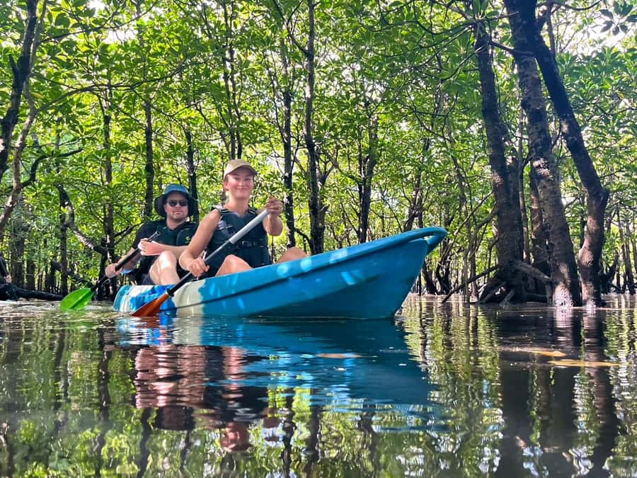 Iriomote island: Mangrove River SUP or Canoe Cruising Tour - Canoe and SUP time: calm water, guided pacing, real arm work