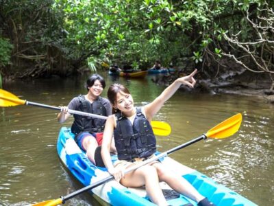 Iriomote island: Mangrove River SUP or Canoe Cruising Tour