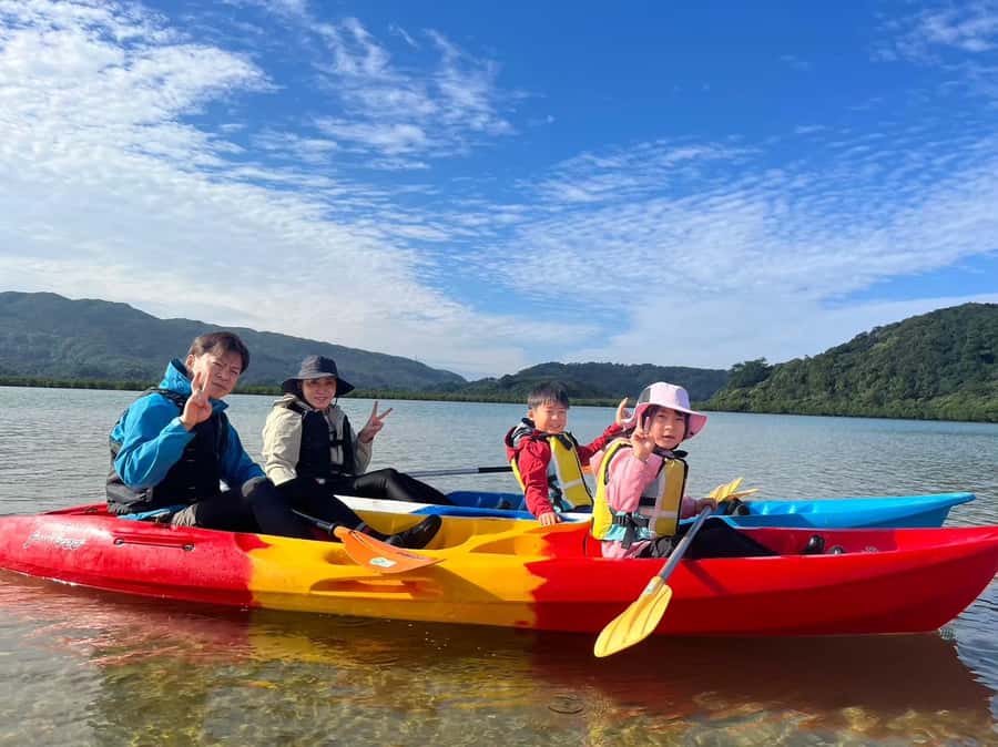 Iriomote island: Mangrove River SUP or Canoe Cruising Tour - Low tide mangrove trek: easy steps, big ecosystem clues