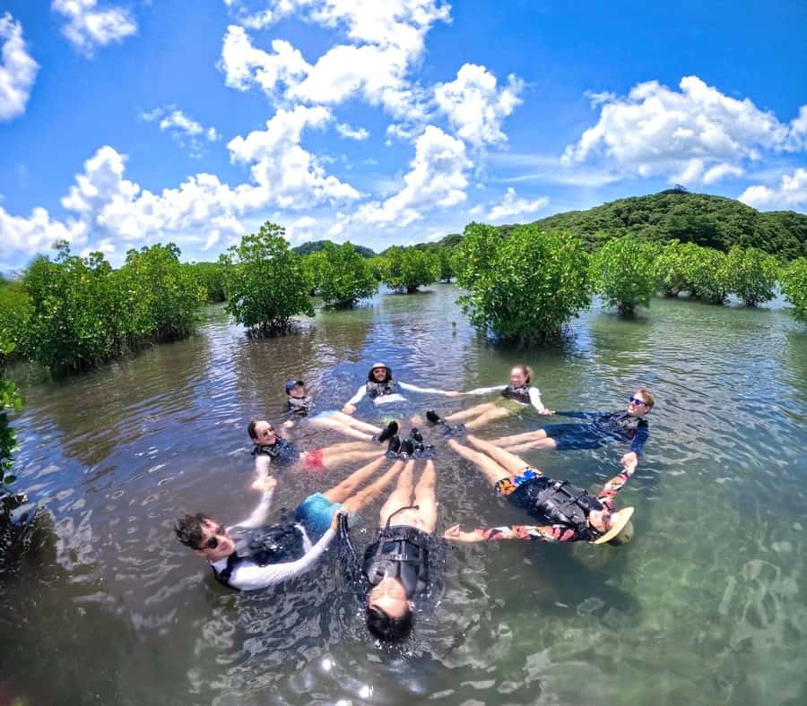 Iriomote island: Mangrove River SUP or Canoe Cruising Tour - Weather and tide reality: how flexible is the experience?