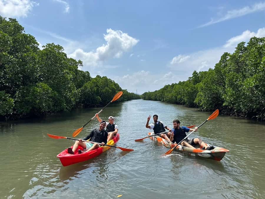 Iriomote island: Mangrove River SUP or Canoe Cruising Tour - What’s included: the small perks that make it feel complete