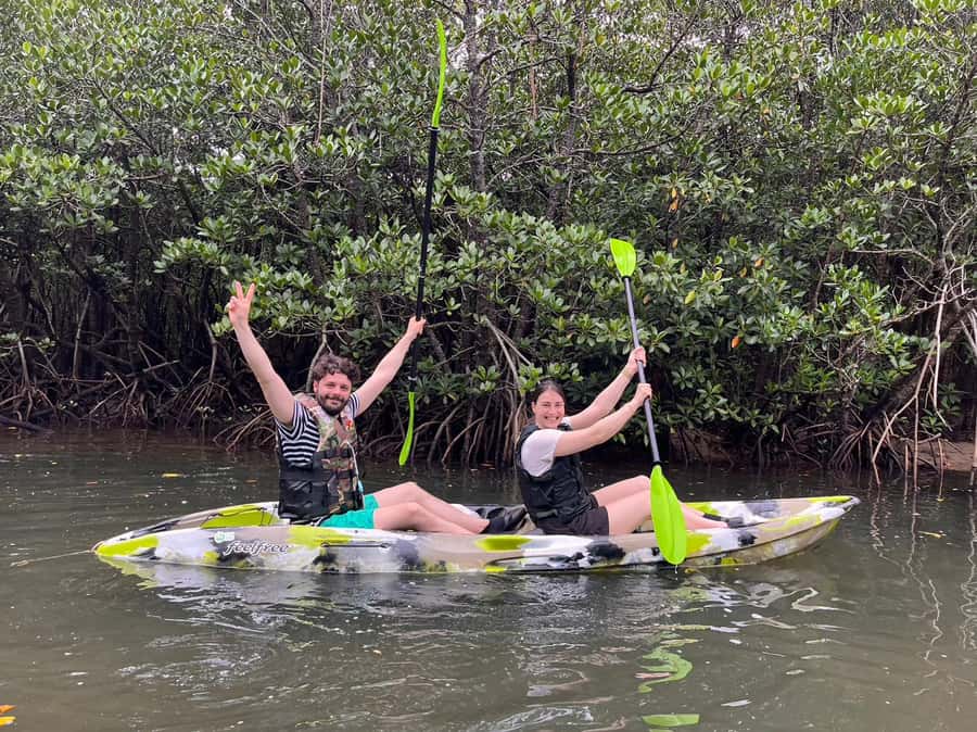 Iriomote island: Mangrove River SUP or Canoe Cruising Tour - Price and value for a $50, 150-minute mangrove outing