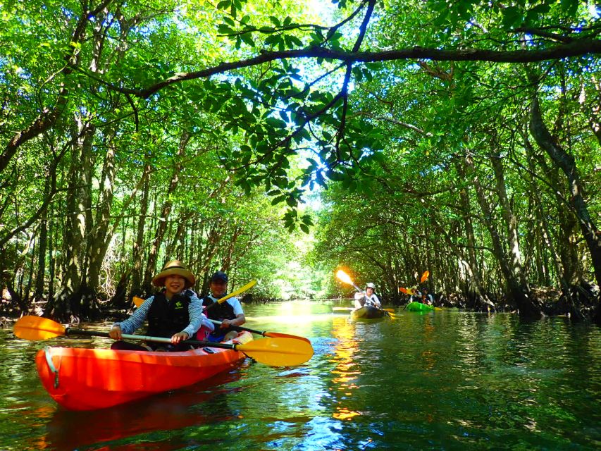 Iriomote Island: SUP or Canoeing and Canyoning Tour - Key Highlights You Can Plan Around