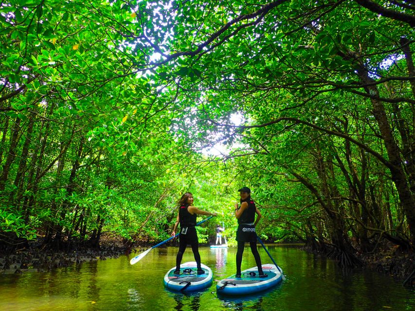 Iriomote Island: SUP or Canoeing and Canyoning Tour - Price and Value: What $96 Buys You