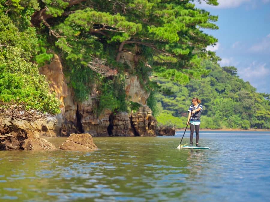 Iriomote Mangrove SUP and Snorkeling at Coral island - What You’re Really Buying on This 6-Hour Iriomote Day