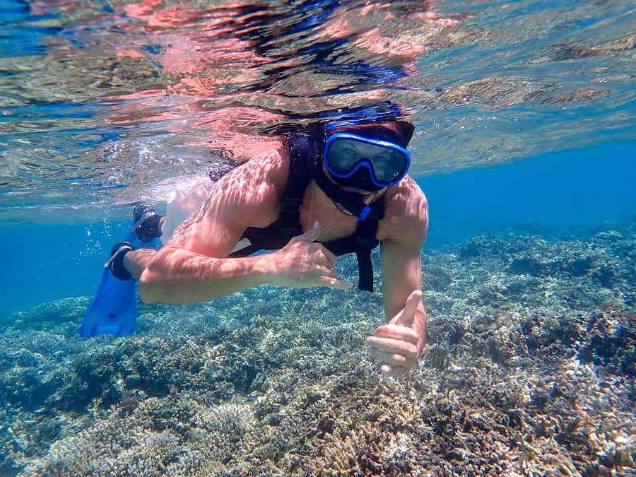 Iriomote Mangrove SUP and Snorkeling at Coral island - The Uehara Port Start: Fast Transfer, Then Reef Time