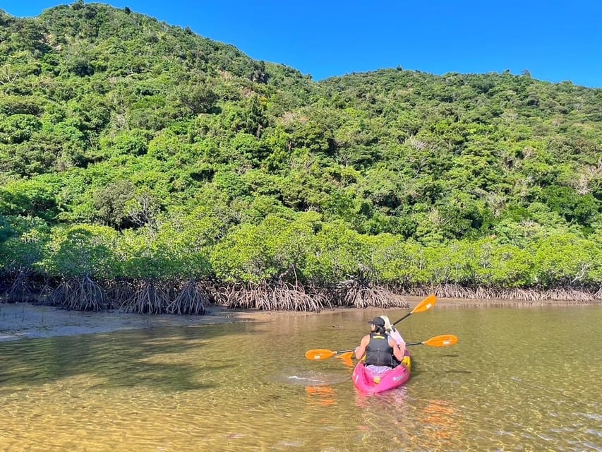 Iriomote Mangrove SUP and Snorkeling at Coral island - Price and Value: Is $96 a Fair Trade for 6 Hours?