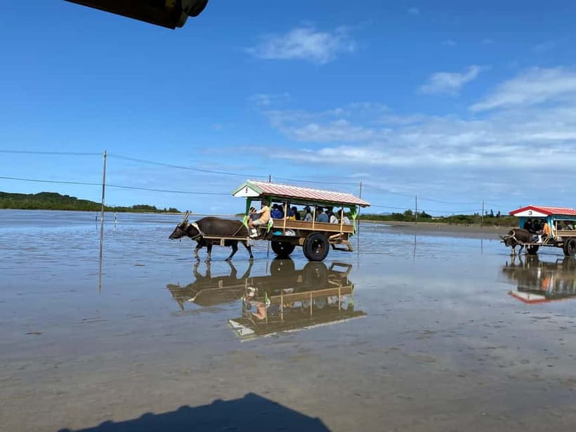 Iriomote: Mangrove SUP or Canoe and Yubujima sightseeing - Iriomote Mangroves on SUP or Canoe, Built for First-Timers