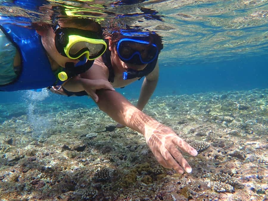 Ishigaki: Canoe or SUP at Kabira Bay＆Snorkeling at Blue Cave - The Port Break, How to Use the 1.5 Hours Like a Pro