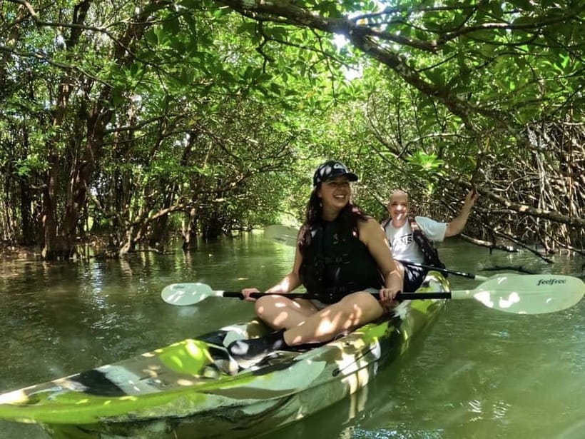 Ishigaki Island: 2-Hour Miyara River SUP or Canoeing Tour - Key points I’d mark before you book