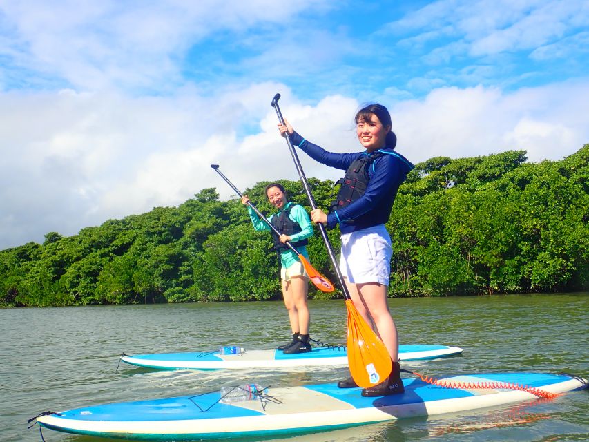 Ishigaki Island: 2-Hour Miyara River SUP or Canoeing Tour - When you should skip it (or choose something else)