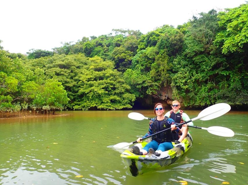 Ishigaki Island: 2-Hour Miyara River SUP or Canoeing Tour - Mangrove forests and a national-monument feel you can only get by paddling
