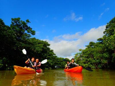 Ishigaki Island: 2-Hour Miyara River SUP or Canoeing Tour