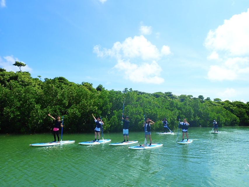Ishigaki Island: 2-Hour Miyara River SUP or Canoeing Tour - Why the guides make or break it, from Sota to Yuna to Makoto