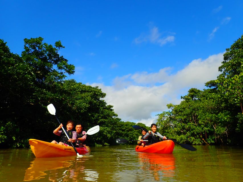 Ishigaki Island: 2-Hour Miyara River SUP or Canoeing Tour - SUP or canoe on slow Miyara River water: what the 2-hour flow feels like