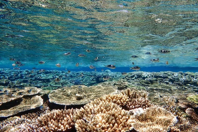 Ishigaki Island: Blue Cave Exploration & Snorkeling Tour - Weather Reality, Blue Cave Cancellations, and Alternative Beaches