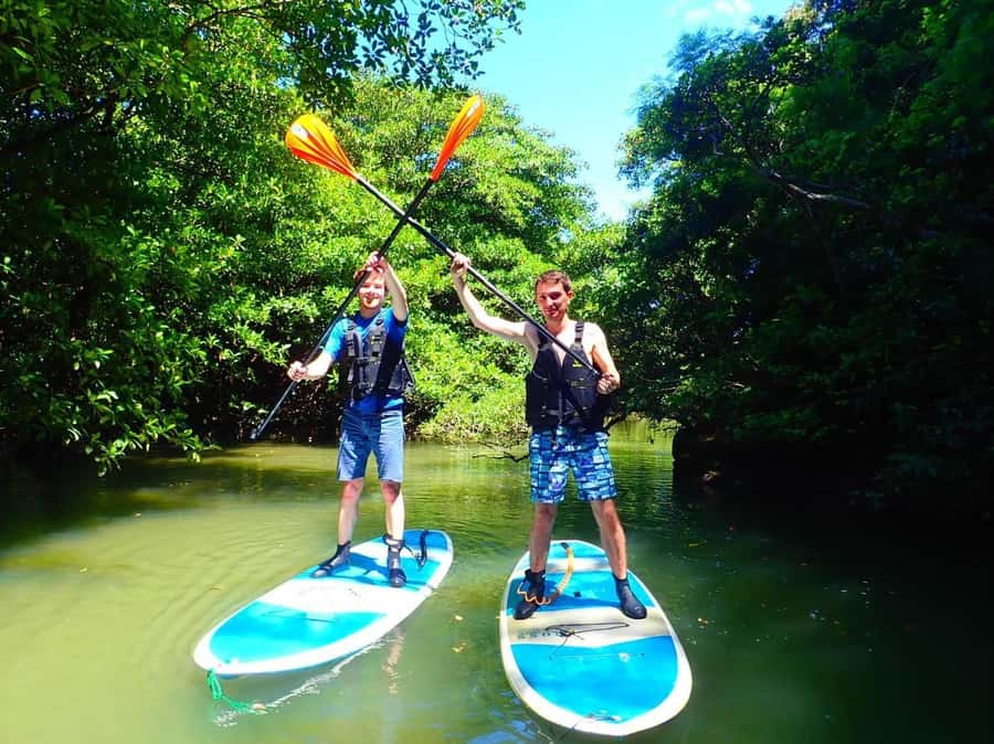 Ishigaki Island: SUP or Canoeing and Snorkeling at Blue Cave - Key highlights at a glance