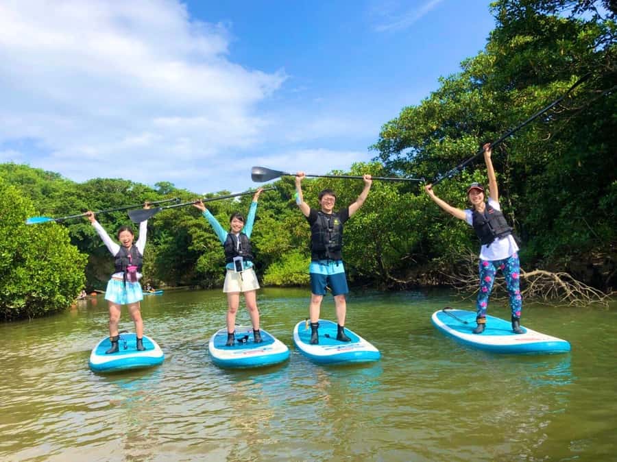 Ishigaki Island: SUP or Canoeing and Snorkeling at Blue Cave - Miyara River: why the mangroves make the whole day work