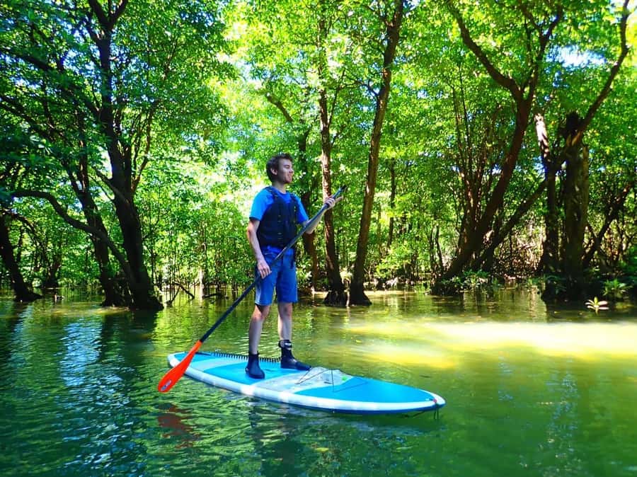Ishigaki Island: SUP or Canoeing and Snorkeling at Blue Cave - The port break: what to do with the long middle section