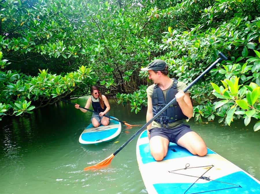 Ishigaki Island: SUP or Canoeing and Snorkeling at Blue Cave - The $93 value: what you’re really getting for your money