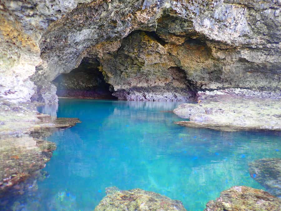 Ishigaki Island: SUP or Canoeing and Snorkeling at Blue Cave - Who should book this SUP and Blue Cave combo