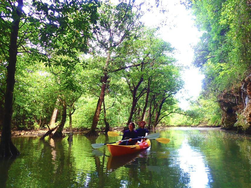 Ishigaki Island: SUP or Canoeing and Snorkeling at Blue Cave - Should you book this tour?