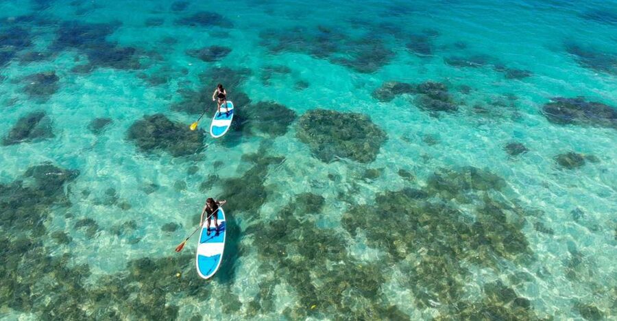 Ishigaki Island: SUP or Kayaking experience at Kabira Bay - Key things I’d watch for on this Kabira Bay SUP or Kayak tour