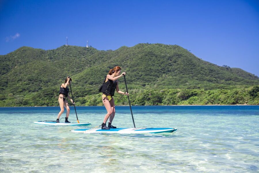 Ishigaki Island: SUP or Kayaking experience at Kabira Bay - Cost and value: is $54 worth 1 hour on the water?