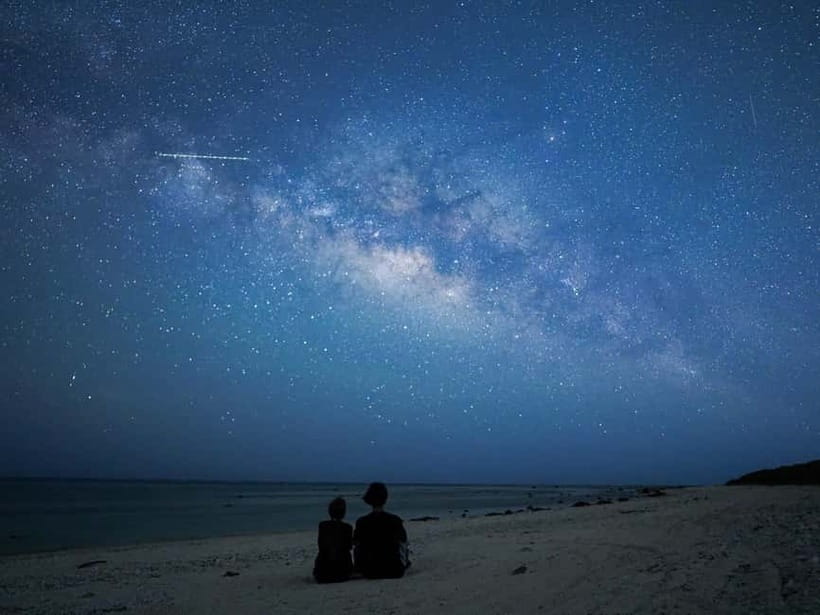 Ishigaki: Jungle Walk and Stargazing Night Tour - The jungle walk after dark: what you are actually hunting for