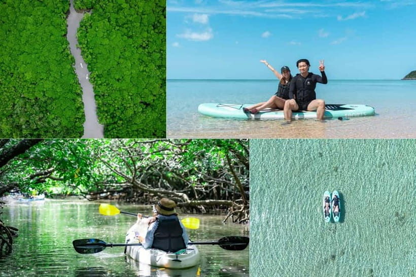 Ishigaki:Mangrove&Sea SUP/Kayak Tour with SLR&Drone footage - Why Ishigaki’s mangroves are so much more than scenery