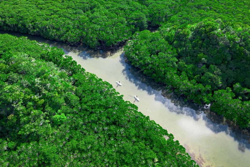 Ishigaki:Mangrove&Sea SUP/Kayak Tour with SLR&Drone footage - Meeting at 吹通橋駐車場 and getting kitted out