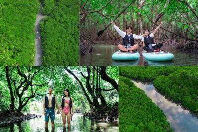Ishigaki:Mangrove&Sea SUP/Kayak Tour with SLR&Drone footage