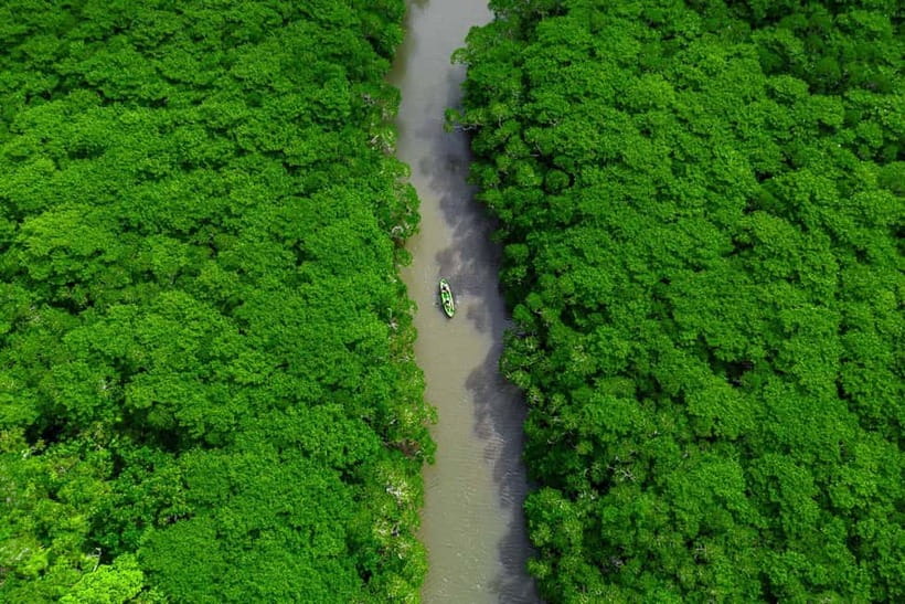 Ishigaki:Mangrove&Sea SUP/Kayak Tour with SLR&Drone footage - Cost and value: does $48 make sense for what you get?
