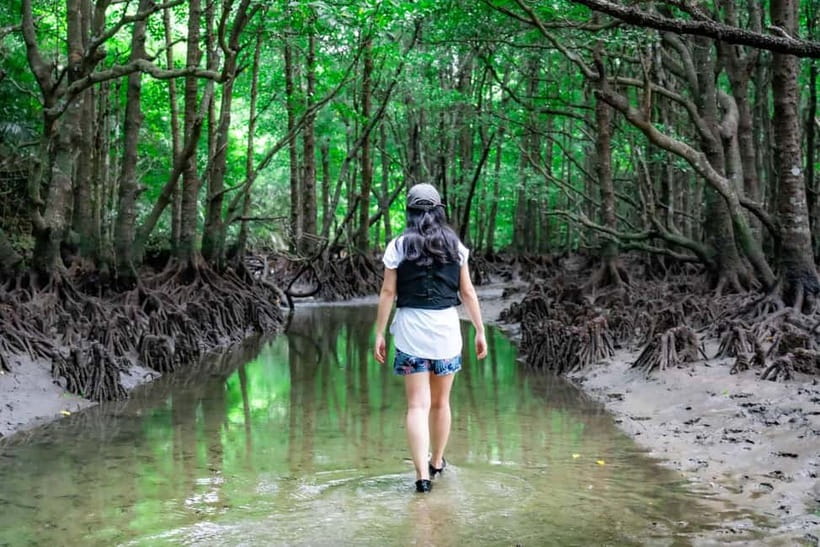 Ishigaki:Mangrove&Sea SUP/Kayak Tour with SLR&Drone footage - Who this tour is ideal for