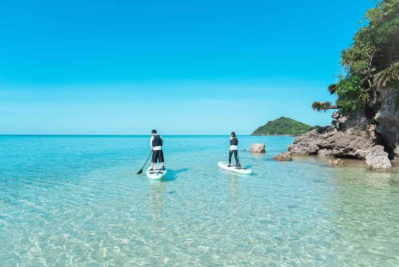 Ishigaki:Mangrove&Sea SUP/Kayak Tour with SLR&Drone footage - The little details that make the experience feel smooth