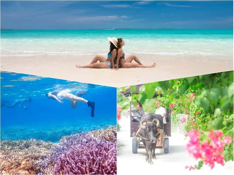 Ishigaki: Phantom Island Snorkeling and Taketomi Sightseeing - The underwater camera photos, why this perk matters