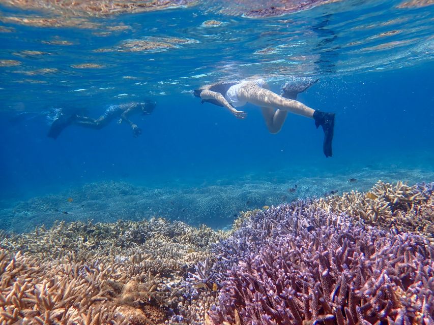 Ishigaki: Phantom Island Snorkeling and Taketomi Sightseeing - Taketomi Island for 3 hours, old streets and beach time at your pace