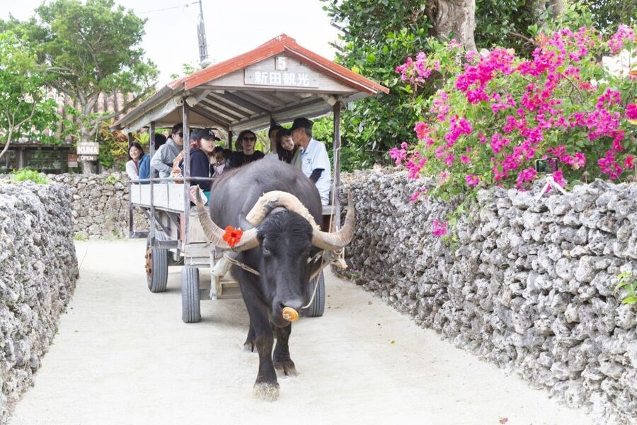 Ishigaki: Phantom Island Snorkeling and Taketomi Sightseeing - Price and value: is $69 a fair deal for a 7-hour day?