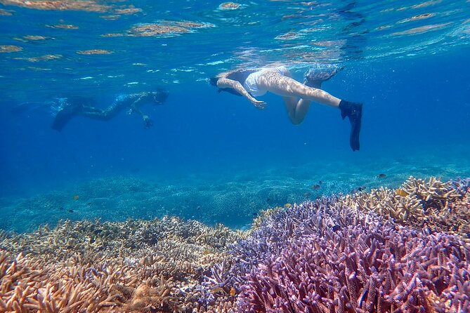 Ishigaki Phantom Island Snorkeling & Kabira Bay SUP or Canoeing - Key highlights you should care about