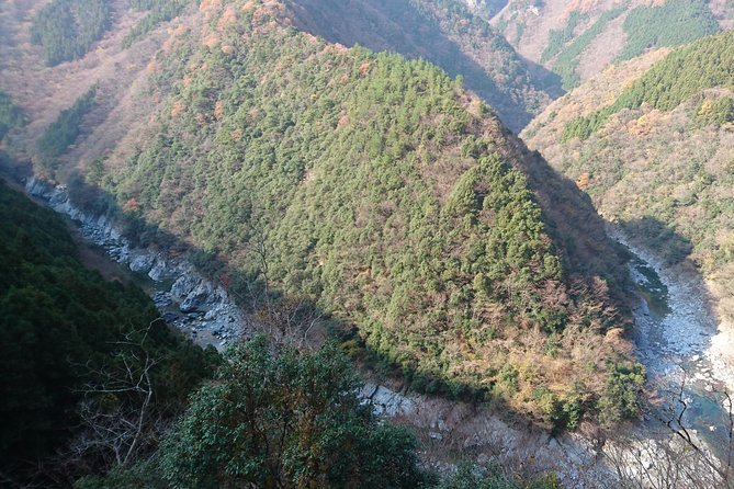 Iya Valley BROMPTON Slow Cycling Tour - Price and Value: What $130.46 Gets You, and What Costs Extra
