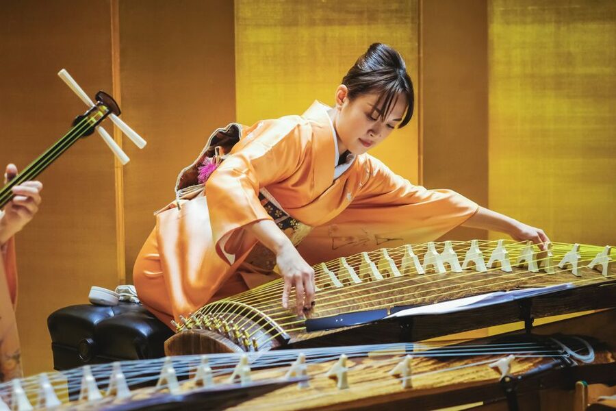 Japanese Traditional Music Show in Tokyo - Who This Is Best For (and Who Might Want Something Else)