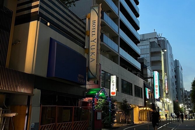 Kabukicho Macabre Tour - the Real Tokyo Vice - Key Things I’d Do First With This Tour