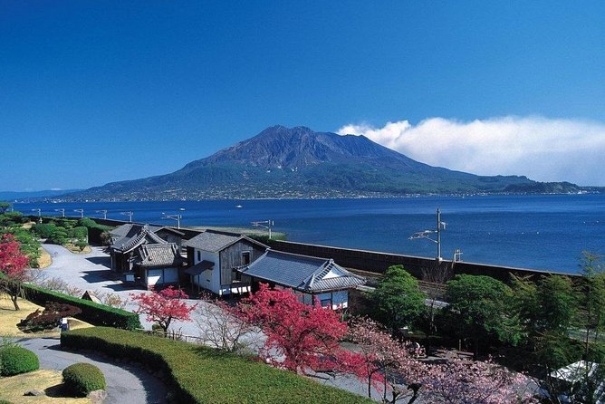 Kagoshima Full-Day Private Tour with Government-Licensed Guide - Key things I’d plan around